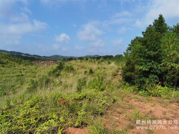 佛山市带着徒弟上山学杨公风水现场操作